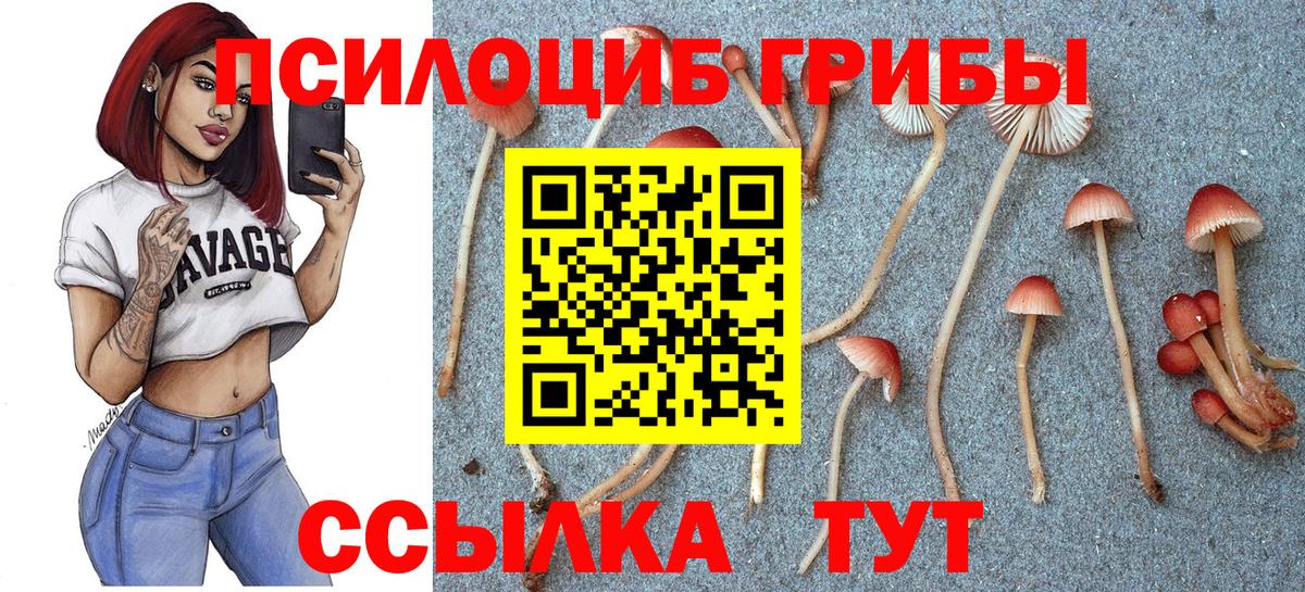 Псилоцибиновые грибы GOLDEN TEACHER  Вход с VPN  закладки  Железноводск 