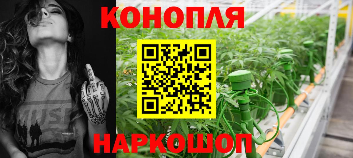 Конопля гибрид Железноводск